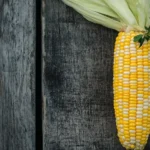 Cooked corn on the cob, grilled and ready to eat.